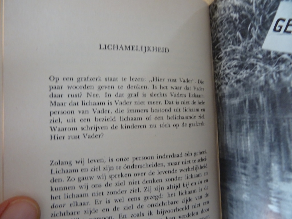 Fons Jansen Liefde - Afbeelding 11