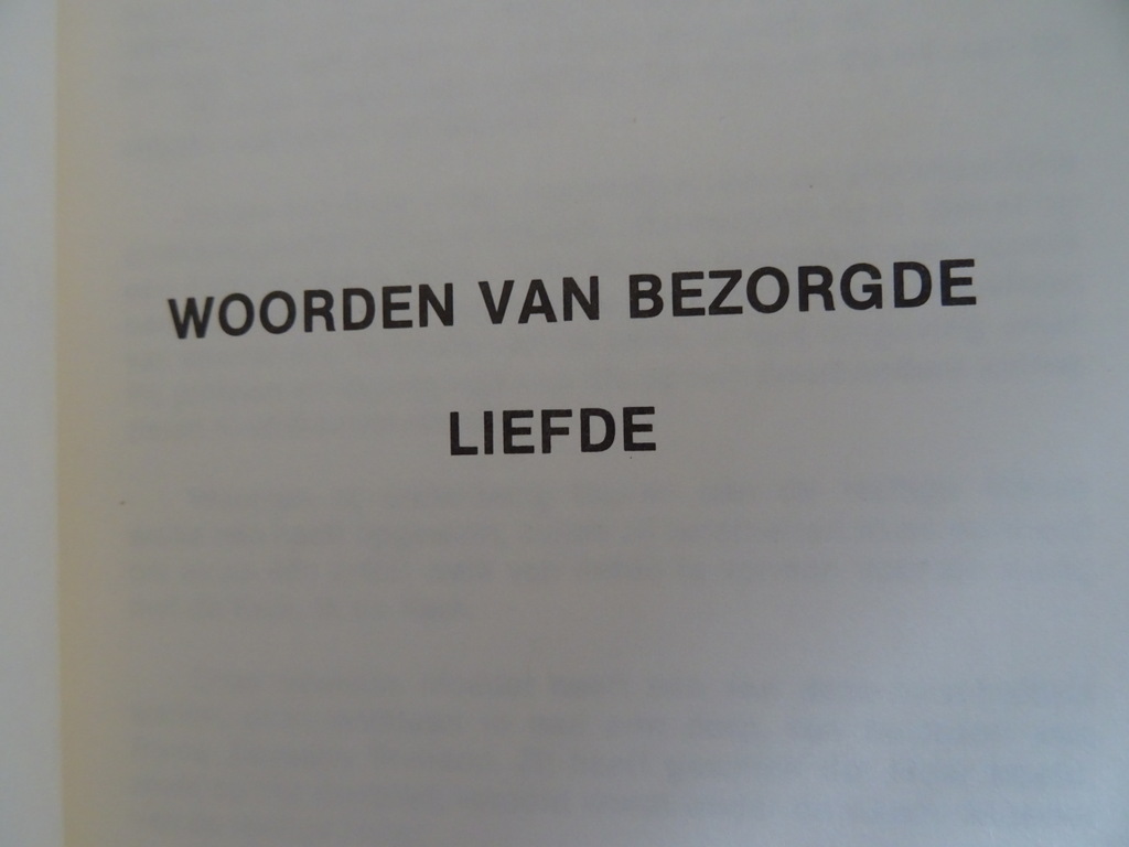 Woorden van bezorgde Liefde Mariaverschijningen - Afbeelding 5