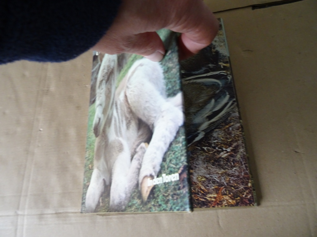 Robert Burton Jonge dieren - Afbeelding 2