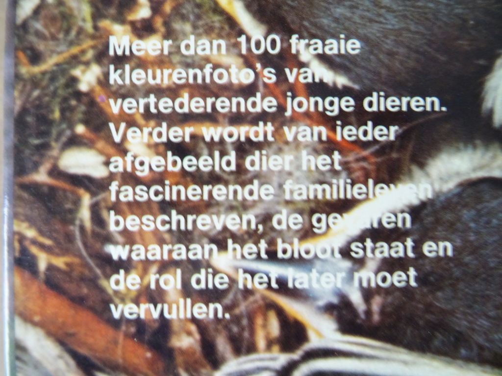 Robert Burton Jonge dieren - Afbeelding 4