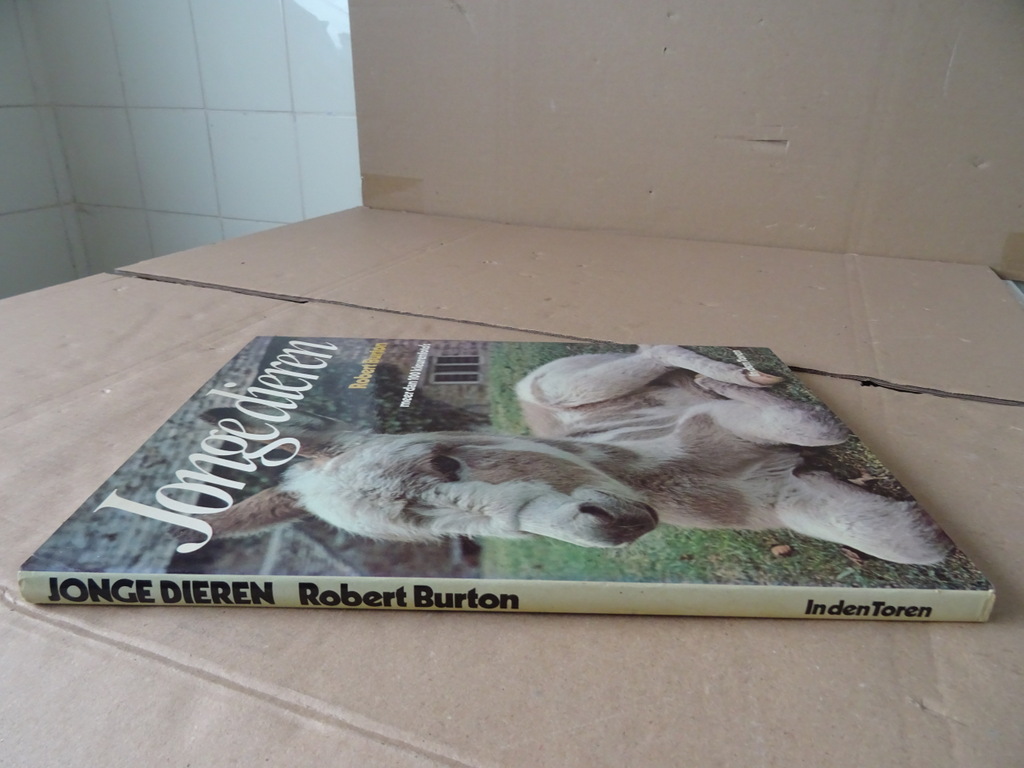 Robert Burton Jonge dieren - Afbeelding 14