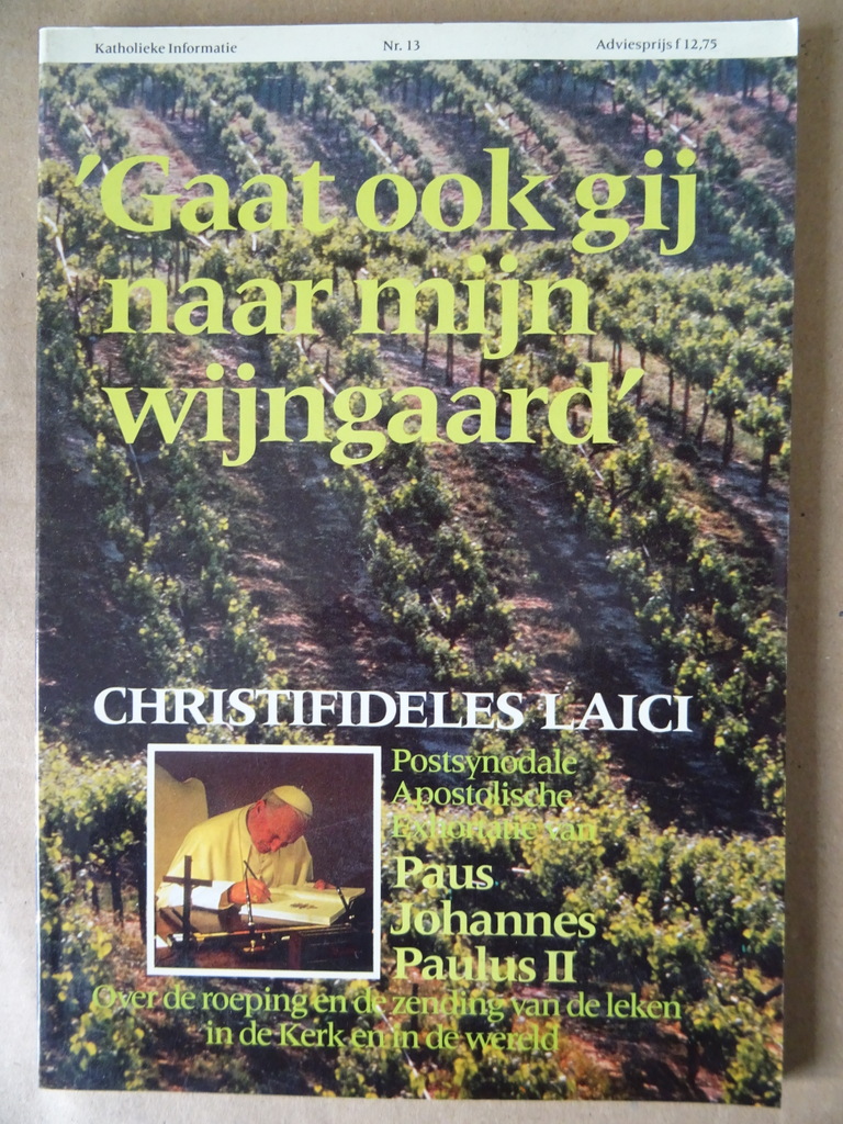 Katholieke Informatie Nr. 13 Christifideles laici