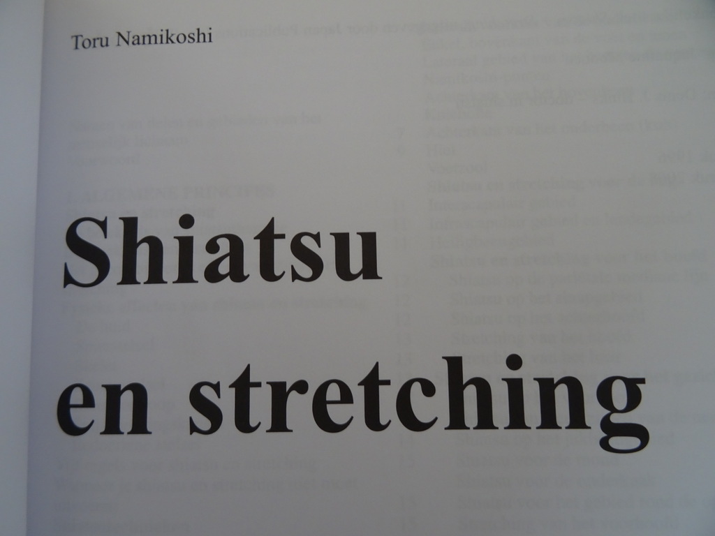 Toru Namikoshi Shiatsu en stretching - Afbeelding 3