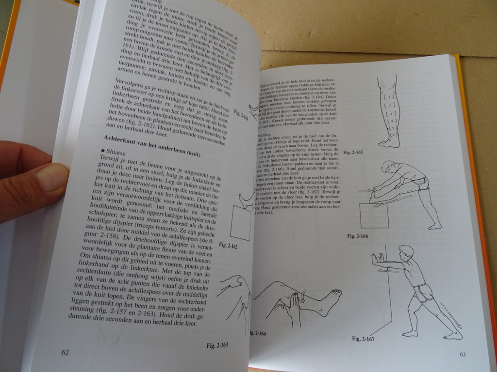 Toru Namikoshi Shiatsu en stretching - Afbeelding 8