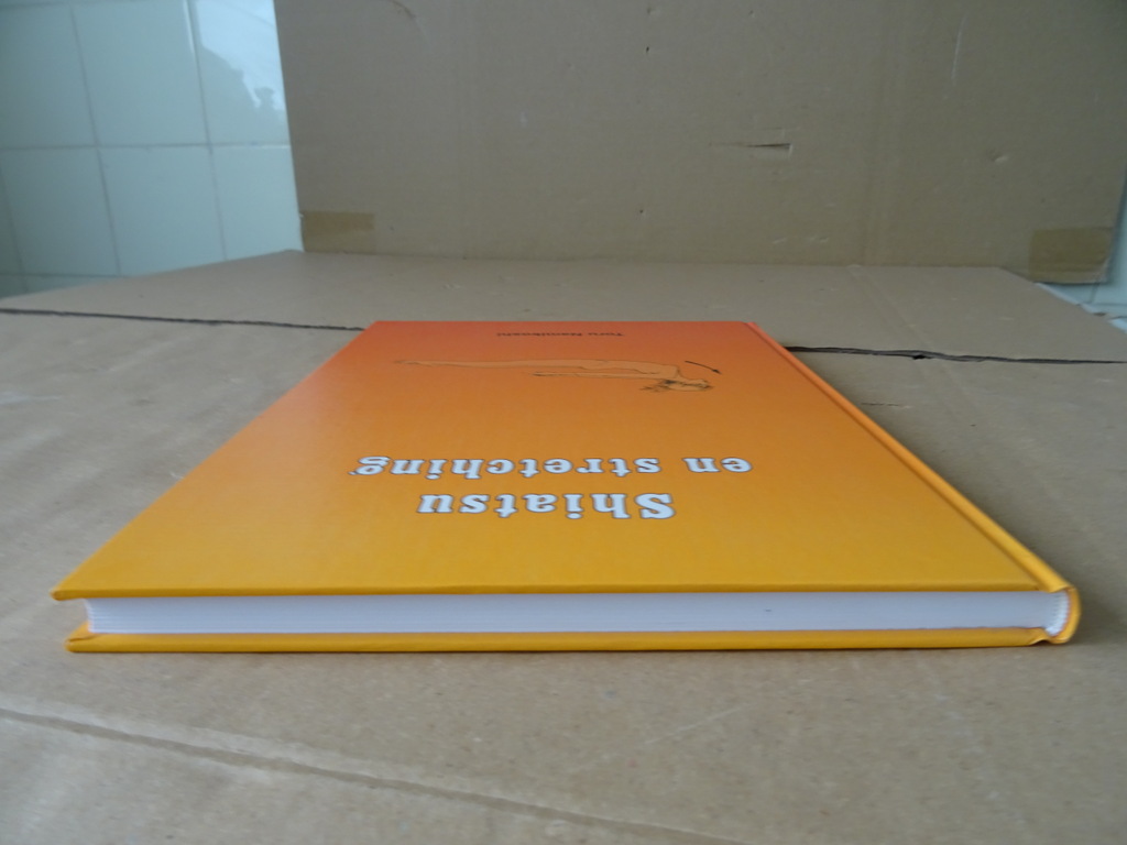 Toru Namikoshi Shiatsu en stretching - Afbeelding 12
