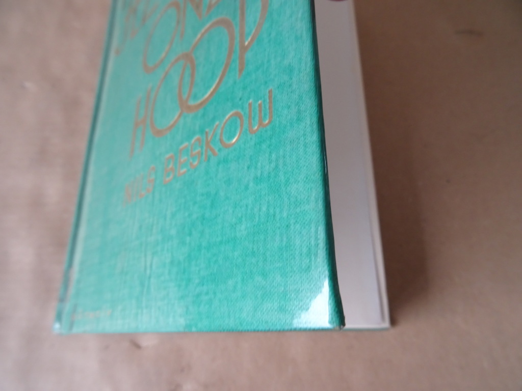 Nils Beskow Jezus onze hoop - Afbeelding 2