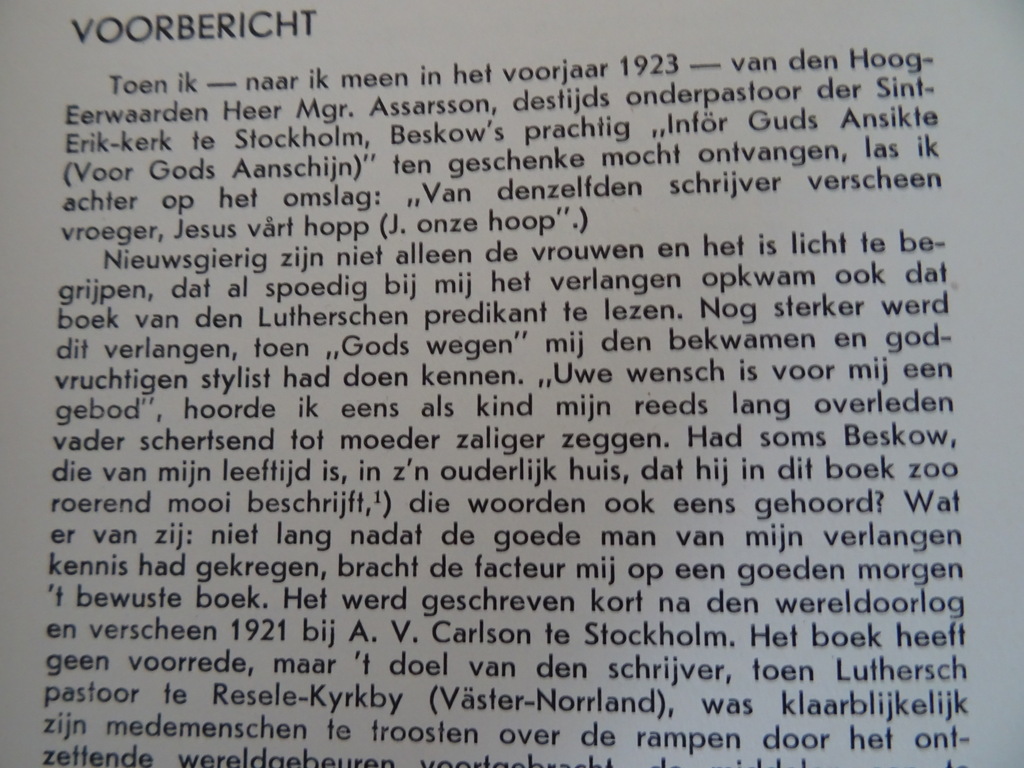 Nils Beskow Jezus onze hoop - Afbeelding 8
