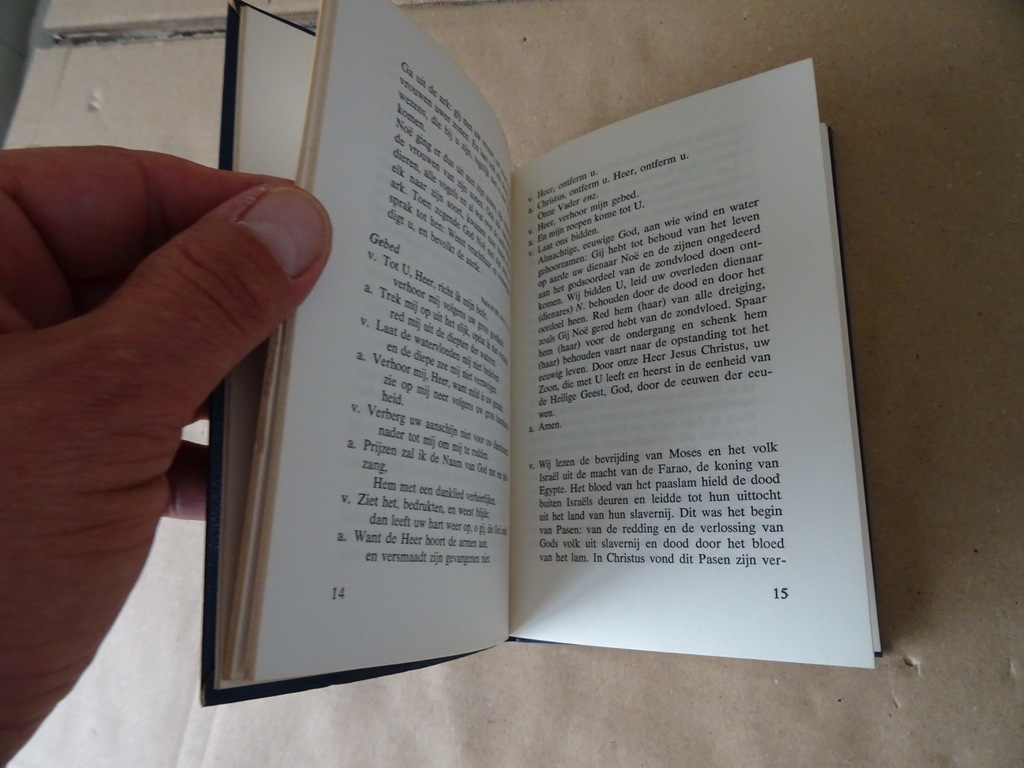 W. G. M. Van den Bosch Schriftlezingen en Gebeden voor Vigilie - Afbeelding 11
