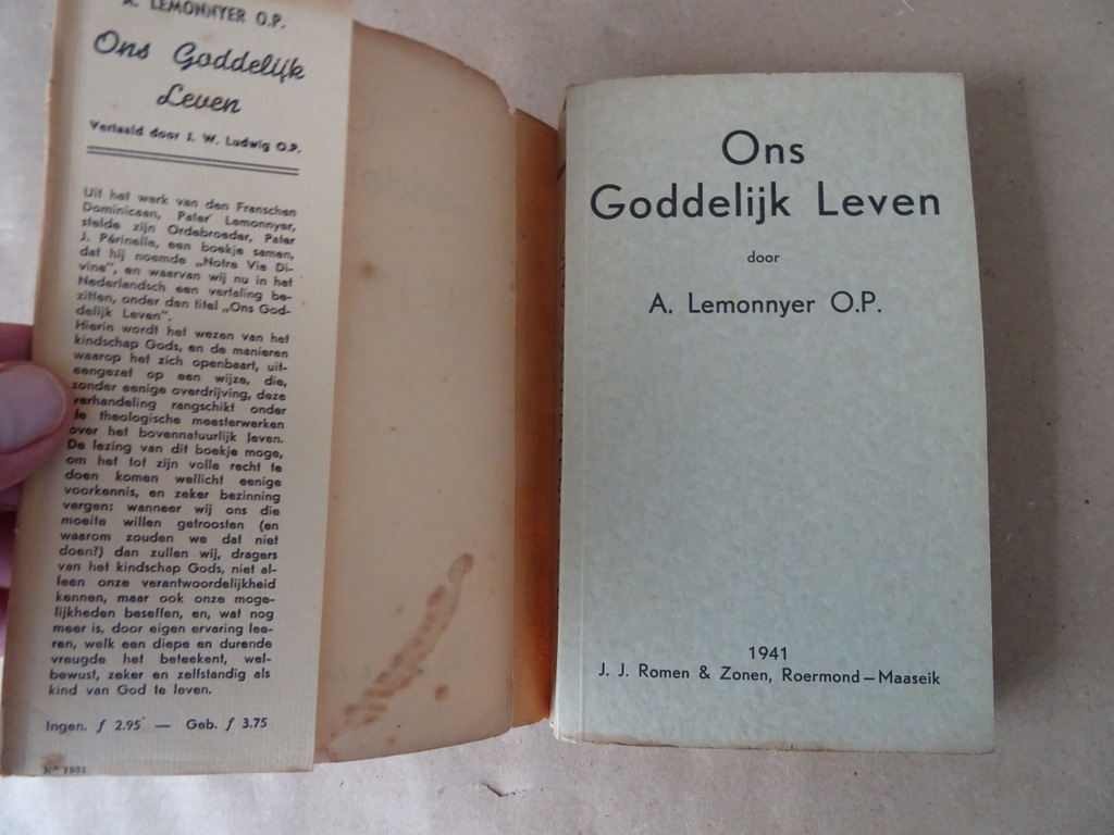 A. Lemonnyer O.P. Ons Goddelijk Leven - Afbeelding 6