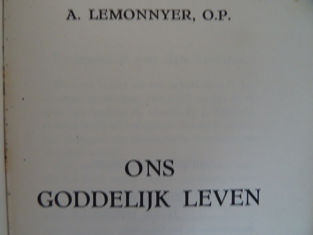 A. Lemonnyer O.P. Ons Goddelijk Leven - Afbeelding 11
