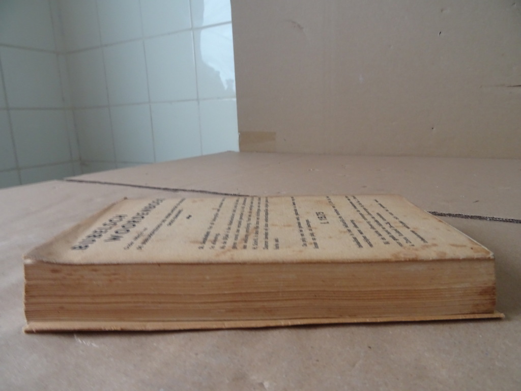 A. Lemonnyer O.P. Ons Goddelijk Leven - Afbeelding 23