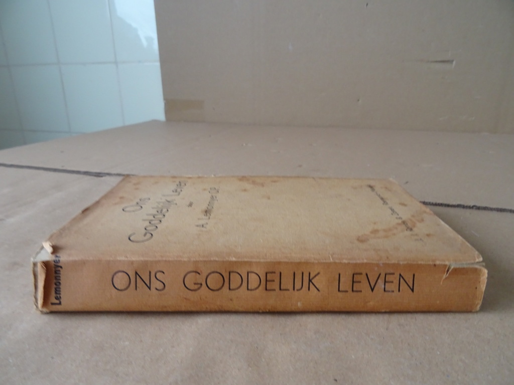 A. Lemonnyer O.P. Ons Goddelijk Leven - Afbeelding 24