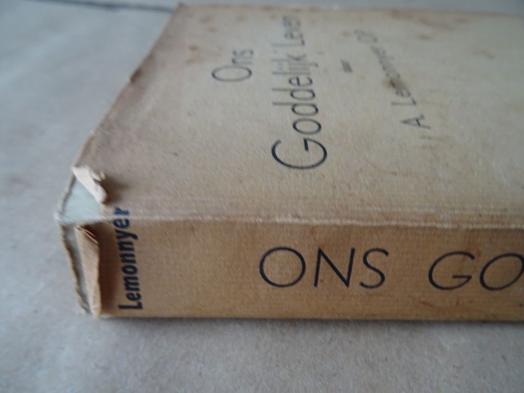A. Lemonnyer O.P. Ons Goddelijk Leven - Afbeelding 25