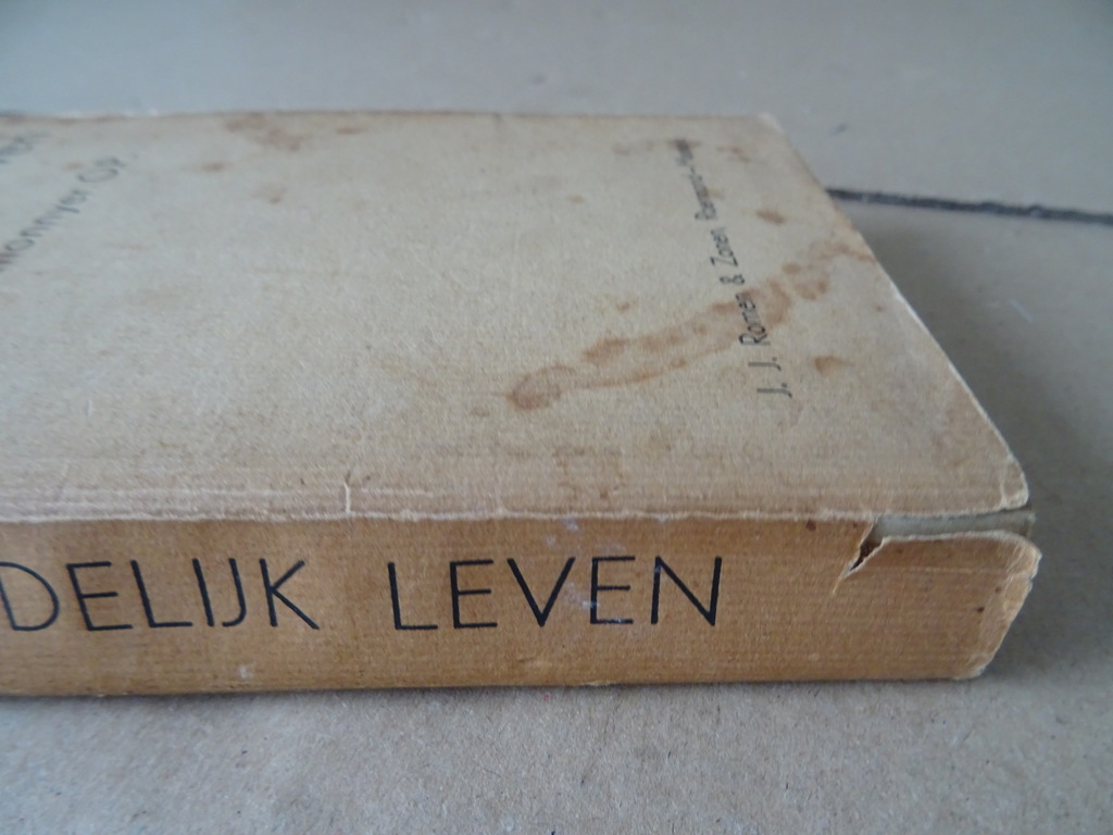 A. Lemonnyer O.P. Ons Goddelijk Leven - Afbeelding 26