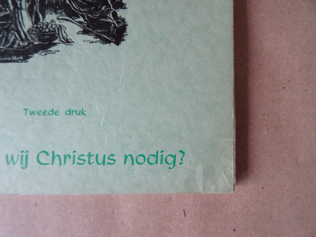 Robert I. Gannon S.J. Hebben wij Christus nodig? - Afbeelding 2