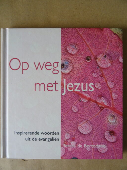 Teresa de Bertodano Op weg met Jezus