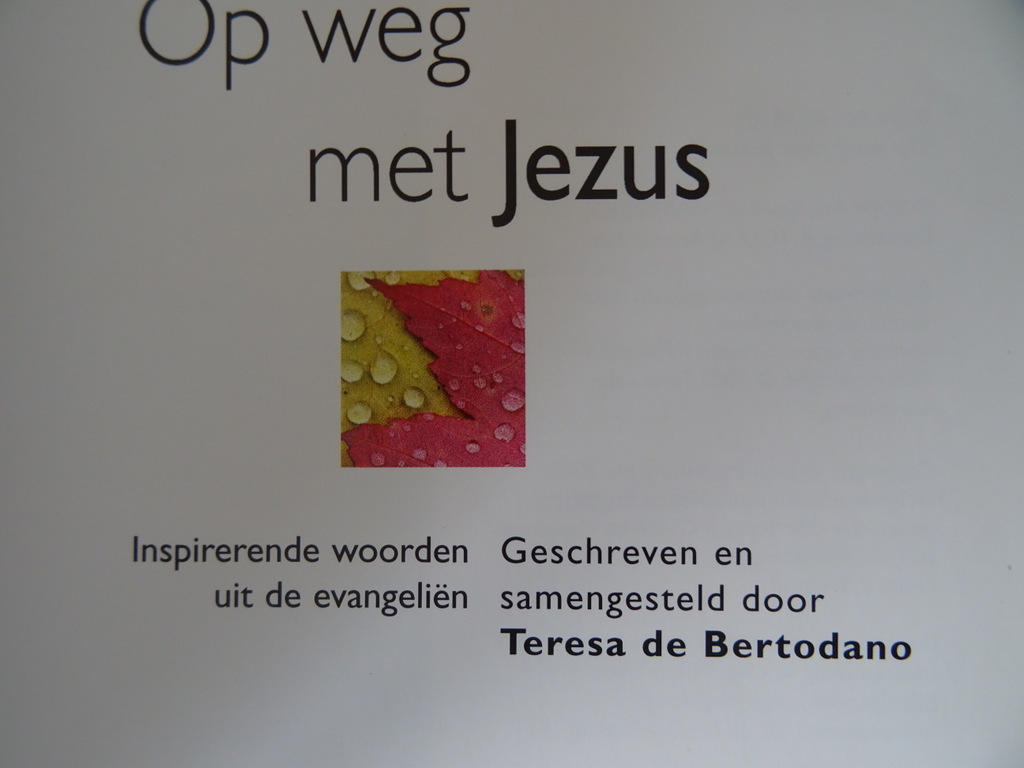 Teresa de Bertodano Op weg met Jezus - Afbeelding 6