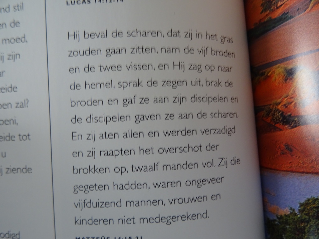 Teresa de Bertodano Op weg met Jezus - Afbeelding 13