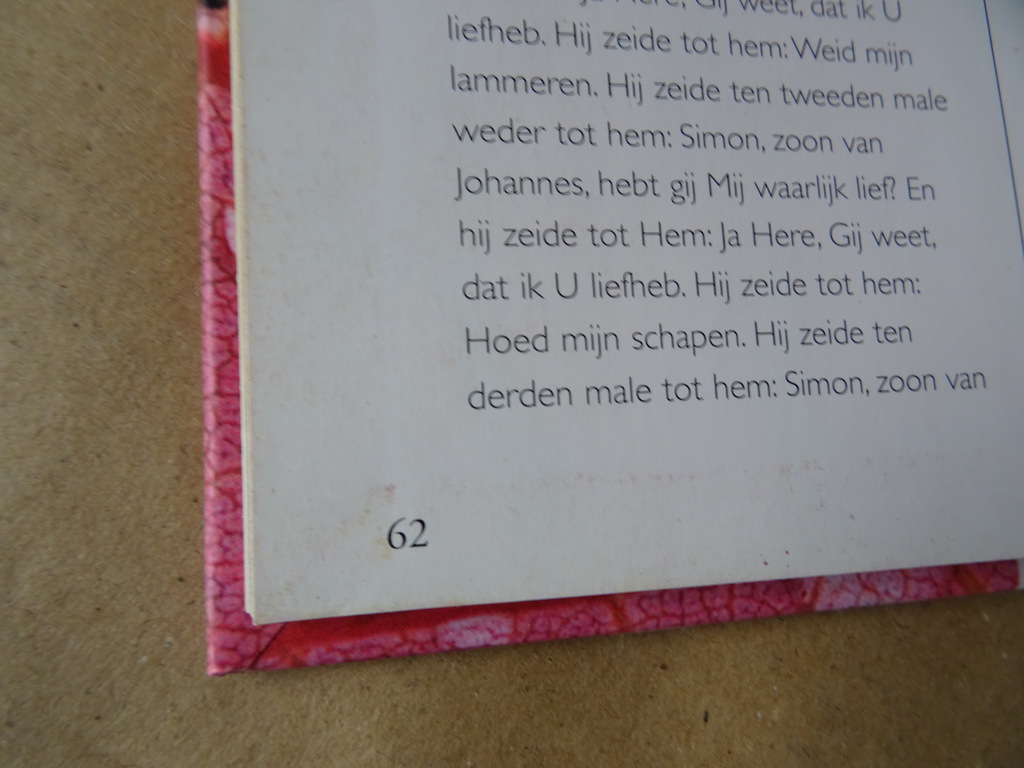 Teresa de Bertodano Op weg met Jezus - Afbeelding 15
