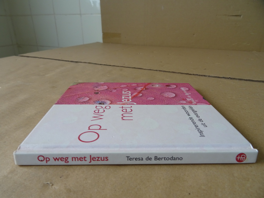 Teresa de Bertodano Op weg met Jezus - Afbeelding 19