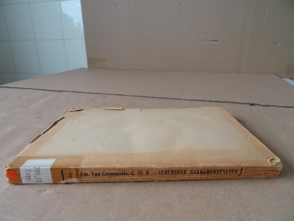 EM. Van Coppenolle C.SS.R. Algemeene Sakramentenleer - Afbeelding 19