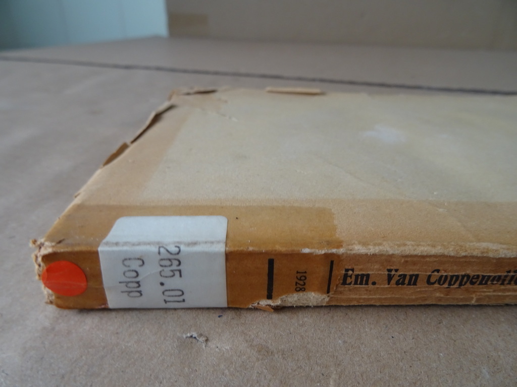 EM. Van Coppenolle C.SS.R. Algemeene Sakramentenleer - Afbeelding 20