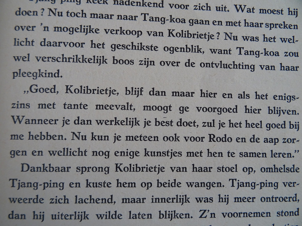 P. M. Tarcisius Passier O.C.R. Kolibrietje het kermiskind - Afbeelding 12