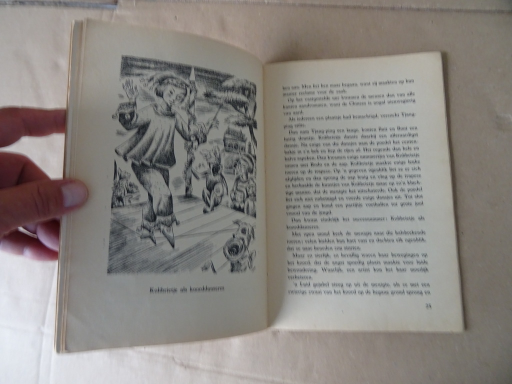P. M. Tarcisius Passier O.C.R. Kolibrietje het kermiskind - Afbeelding 13