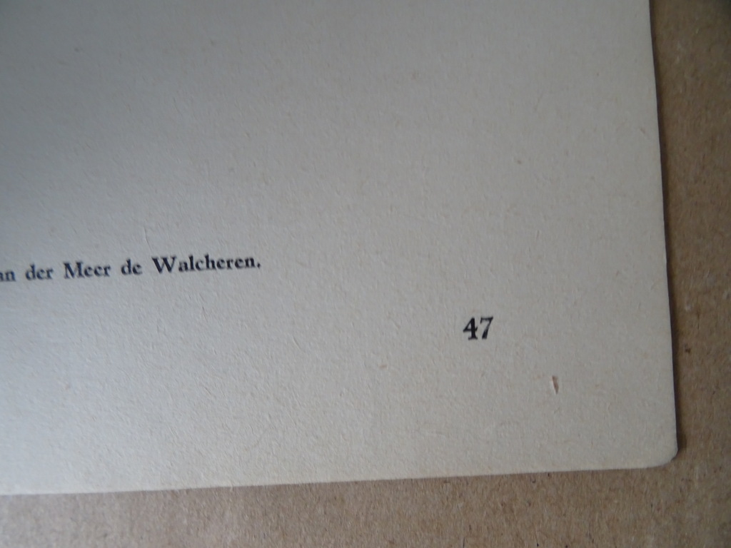 P. M. Tarcisius Passier O.C.R. Kolibrietje het kermiskind - Afbeelding 16