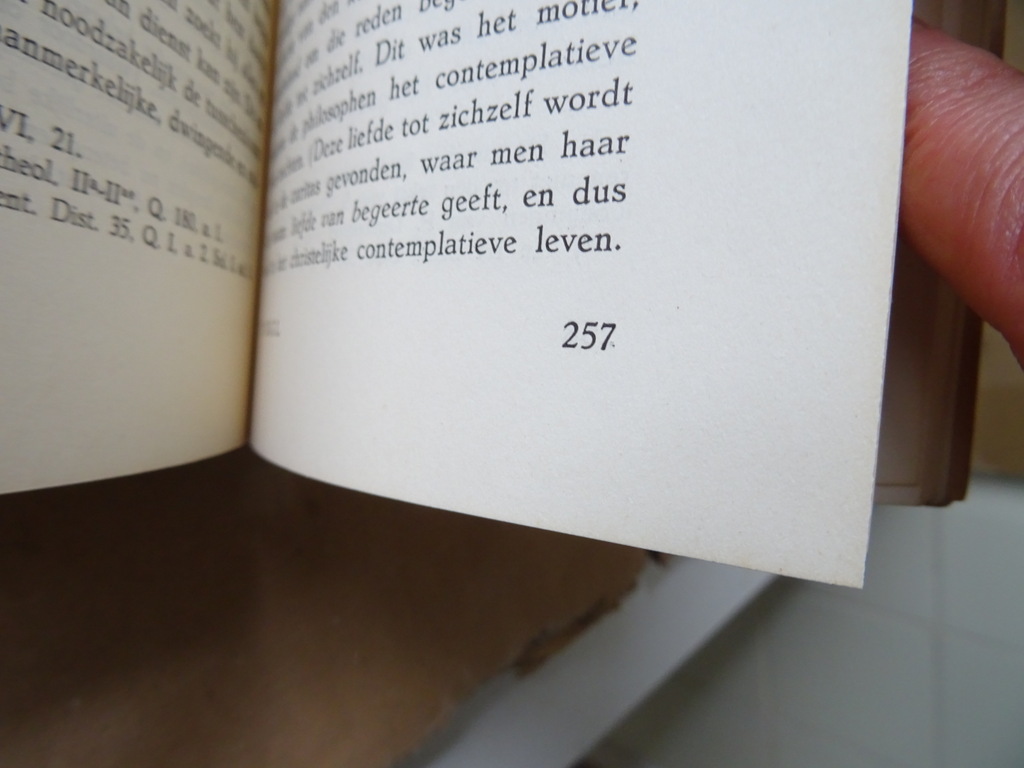 A. Lemonnyer O.P. Ons Goddelijk Leven - Afbeelding 28