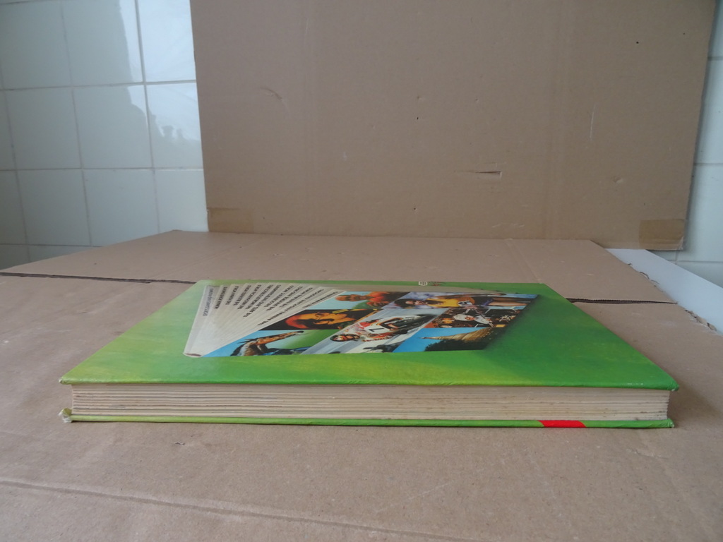 Norris McWhirter Guinness book of records 1979 Edition - Afbeelding 18