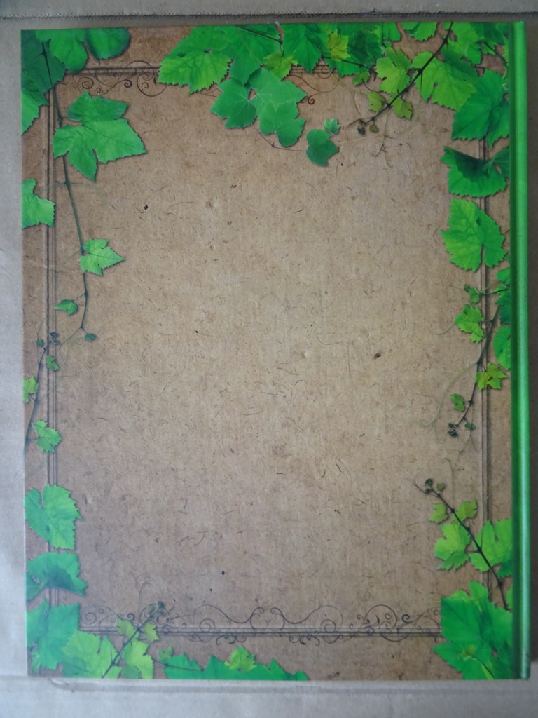 Nathalie Bucsek Aromatische planten Édition atlas - Afbeelding 14