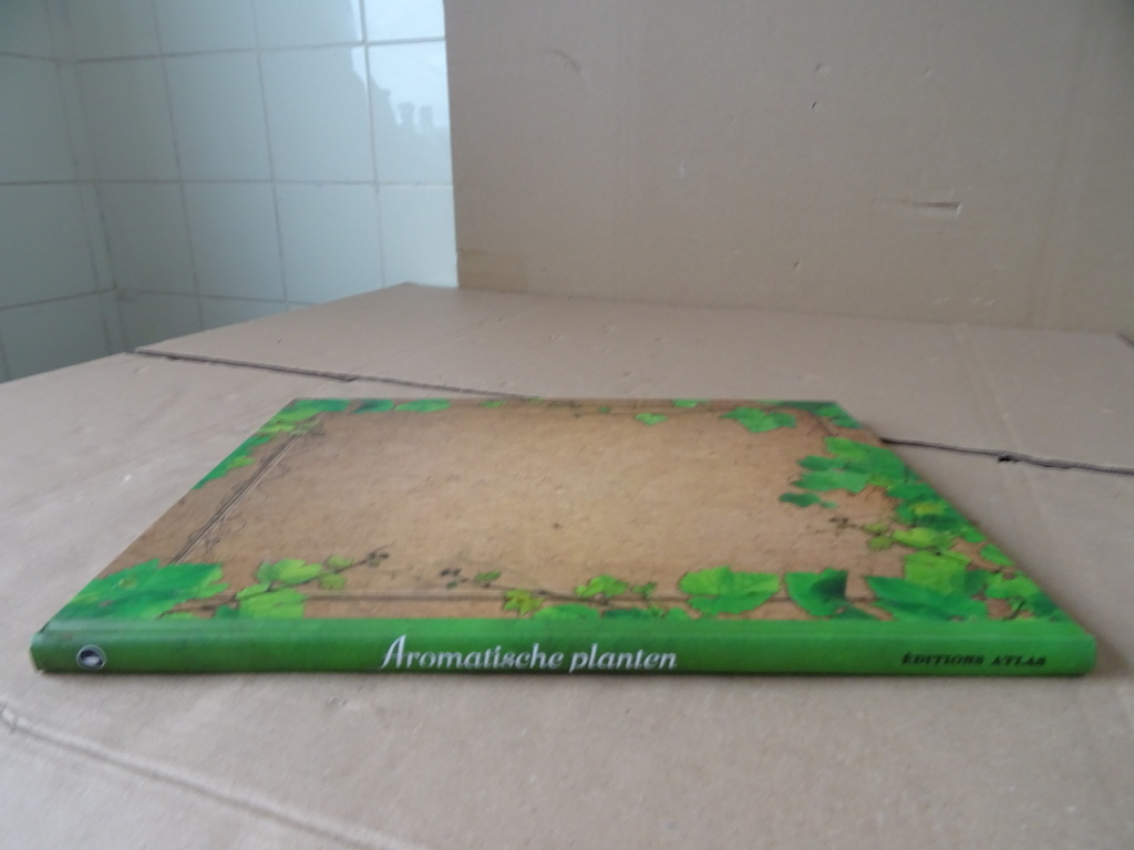 Nathalie Bucsek Aromatische planten Édition atlas - Afbeelding 17