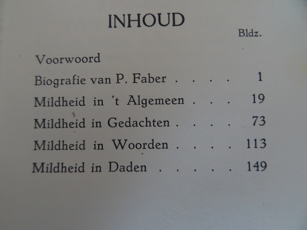 Peter Faber Oratoriaan Mildheid - Afbeelding 13