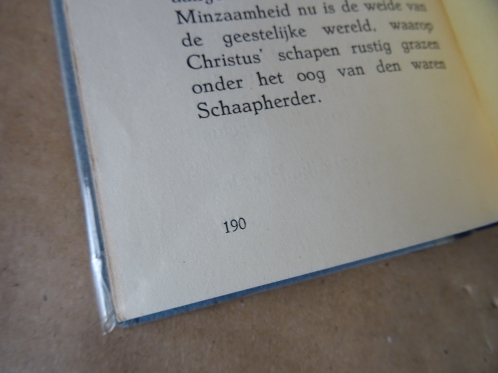 Peter Faber Oratoriaan Mildheid - Afbeelding 17