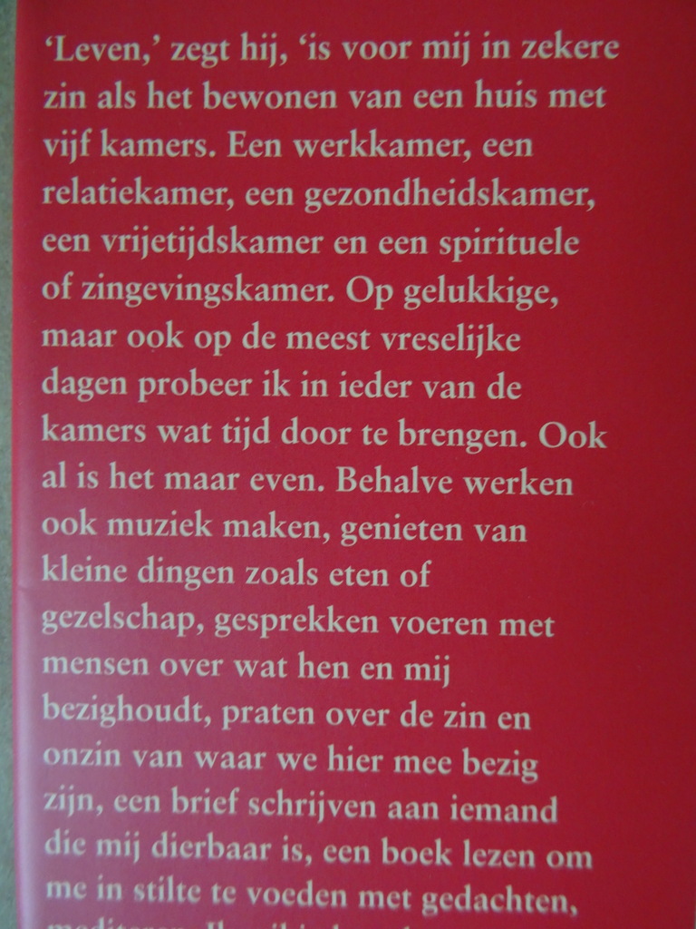 René Diekstra De kwestie van geluk - Afbeelding 4