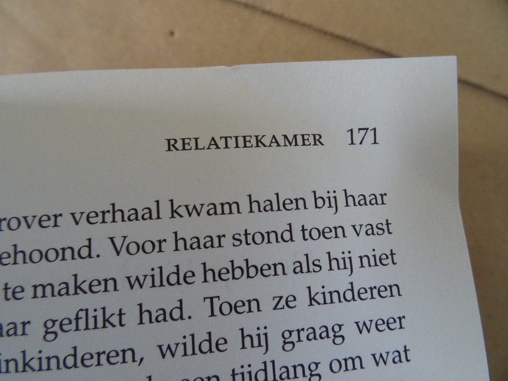 René Diekstra De kwestie van geluk - Afbeelding 14