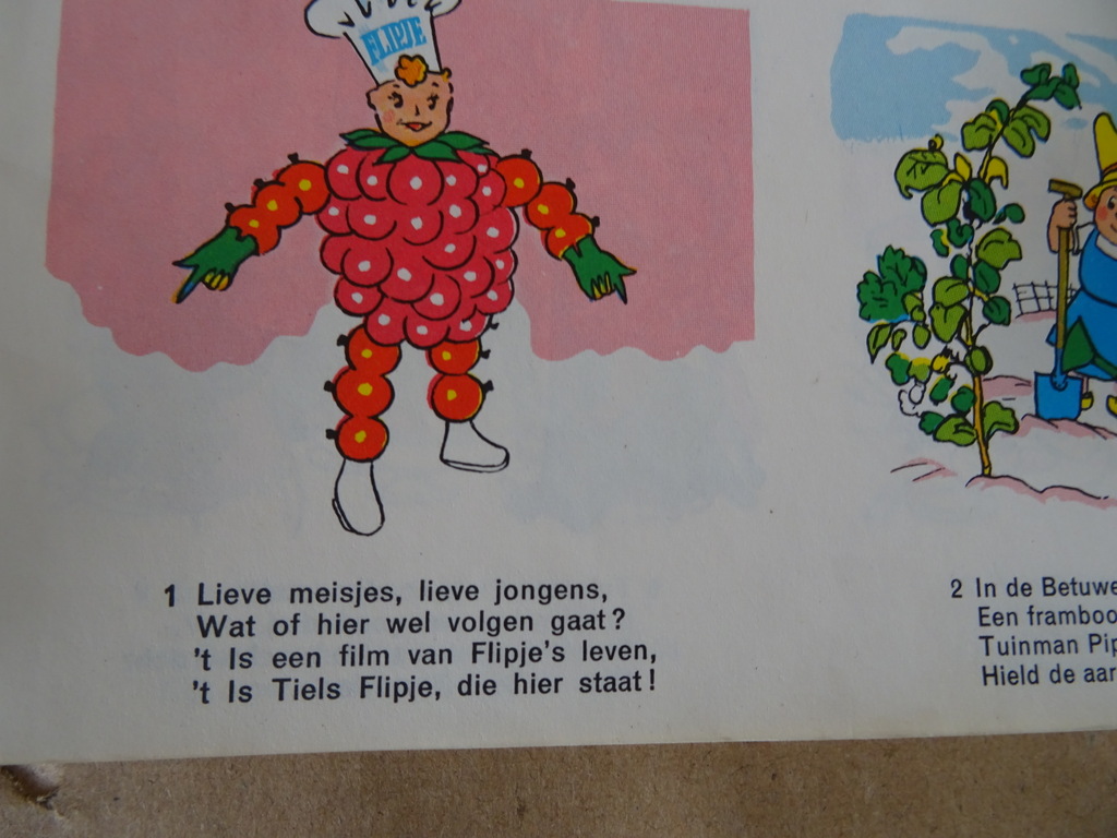 Collectie vintage Flipje boekjes - Afbeelding 10