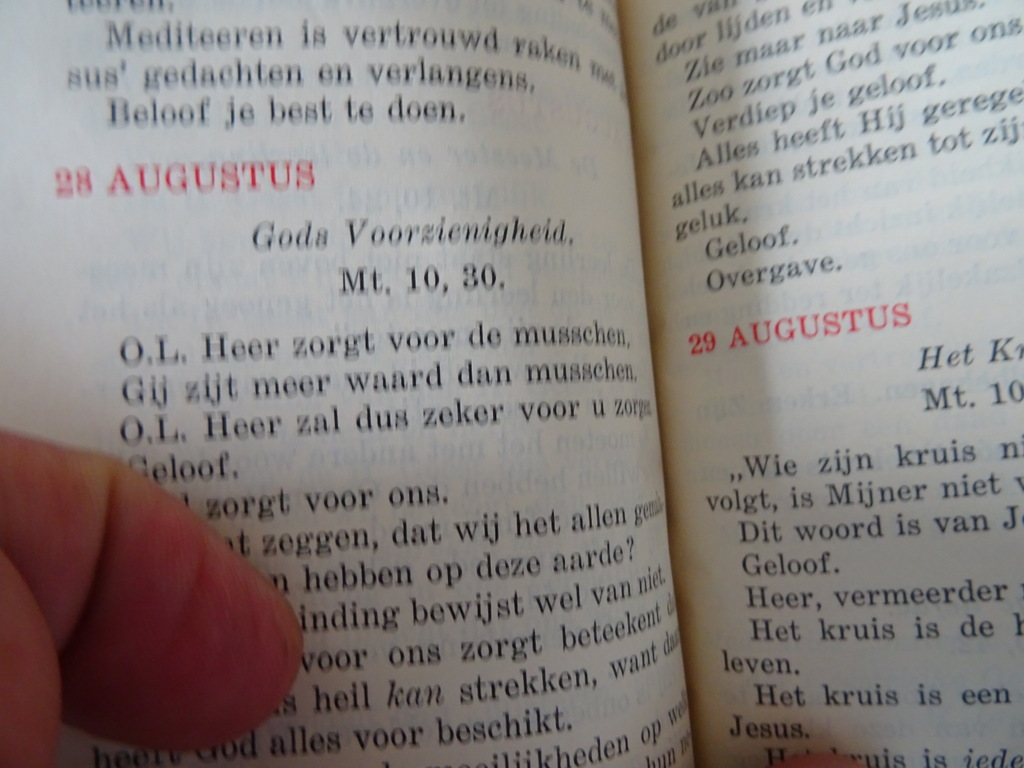 Fr. De Graaff S.J. Jesus' leven ons leven Overwegingen - Afbeelding 15