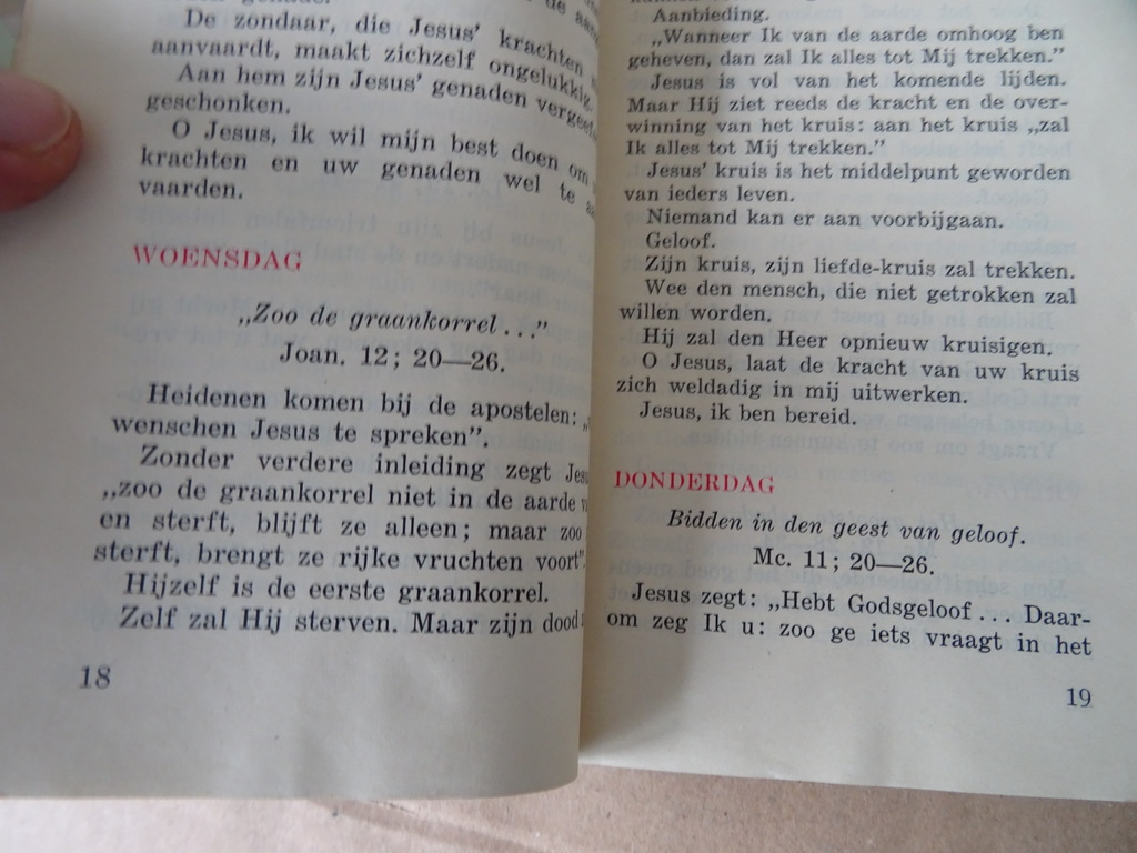 Fr. De Graaff S.J. Jesus' leven ons leven Overwegingen - Afbeelding 19