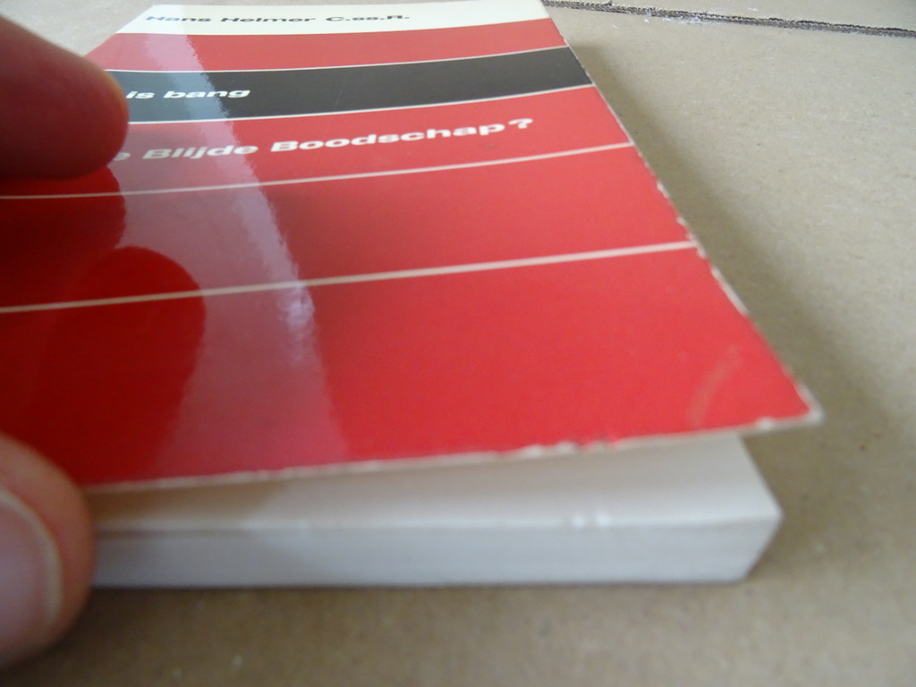 Hans Helmer C.ss.R. Wie is bang voor de Blijde Boodschap? - Afbeelding 15