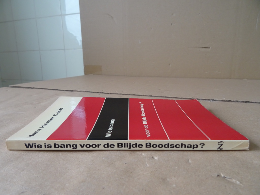 Hans Helmer C.ss.R. Wie is bang voor de Blijde Boodschap? - Afbeelding 17