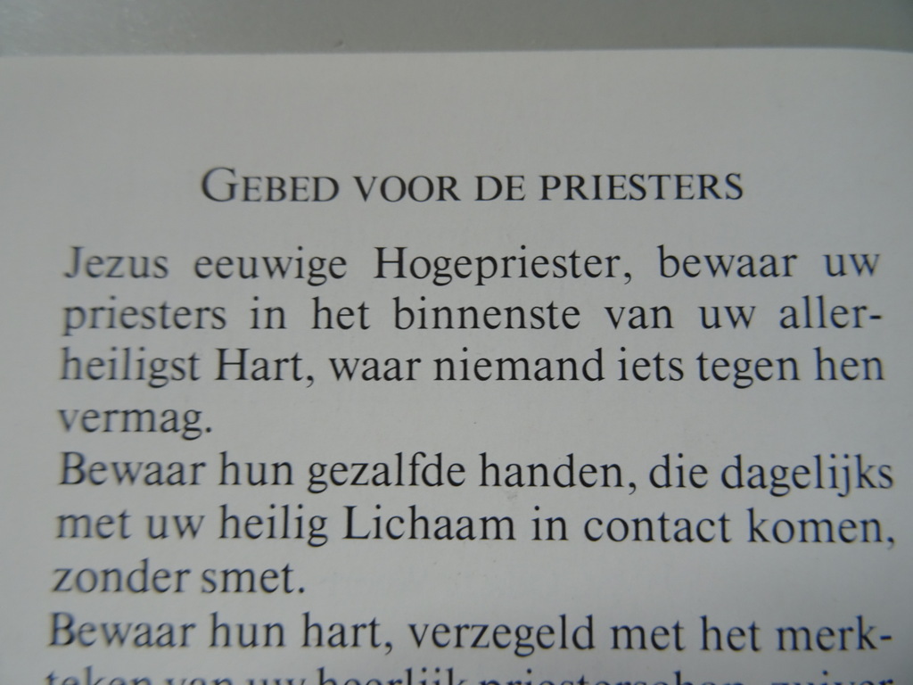 Jos. Schrijvers C.SS.R. Geef uzelf - Afbeelding 31
