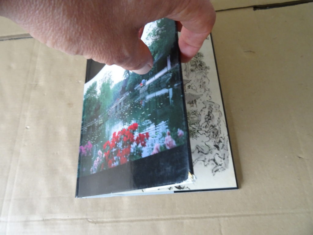 Liu Shao-jun Suzhou Gardens - Afbeelding 2