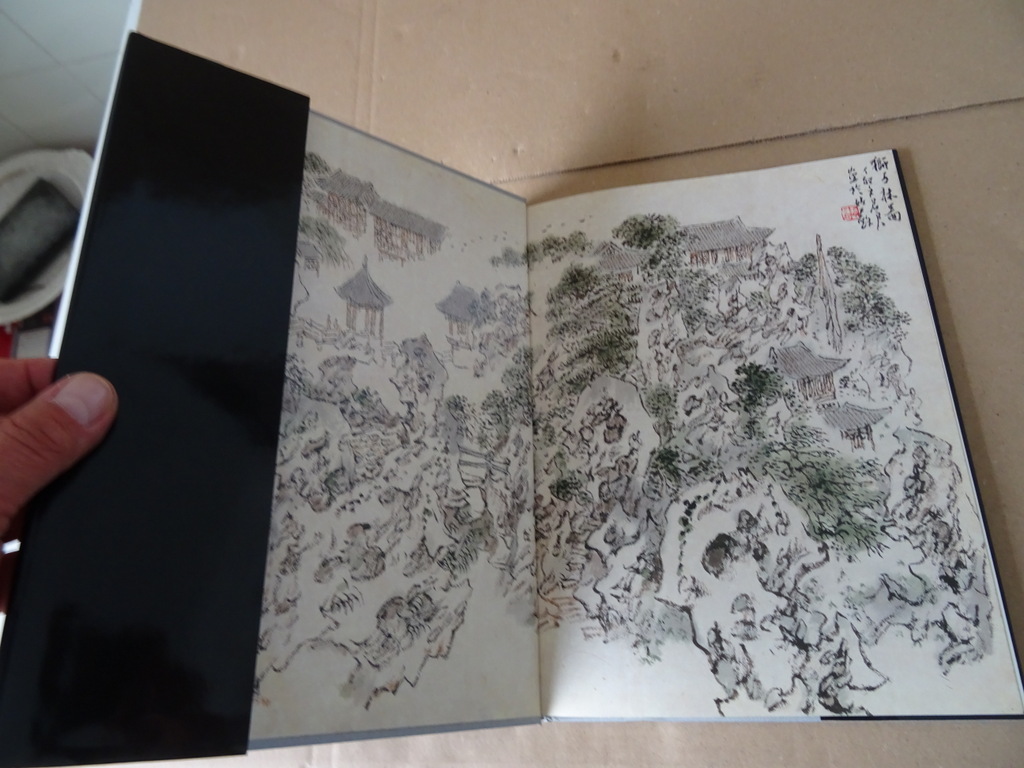 Liu Shao-jun Suzhou Gardens - Afbeelding 3