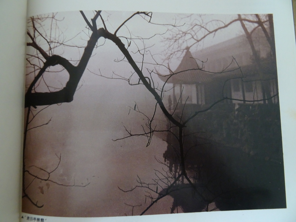 Liu Shao-jun Suzhou Gardens - Afbeelding 7