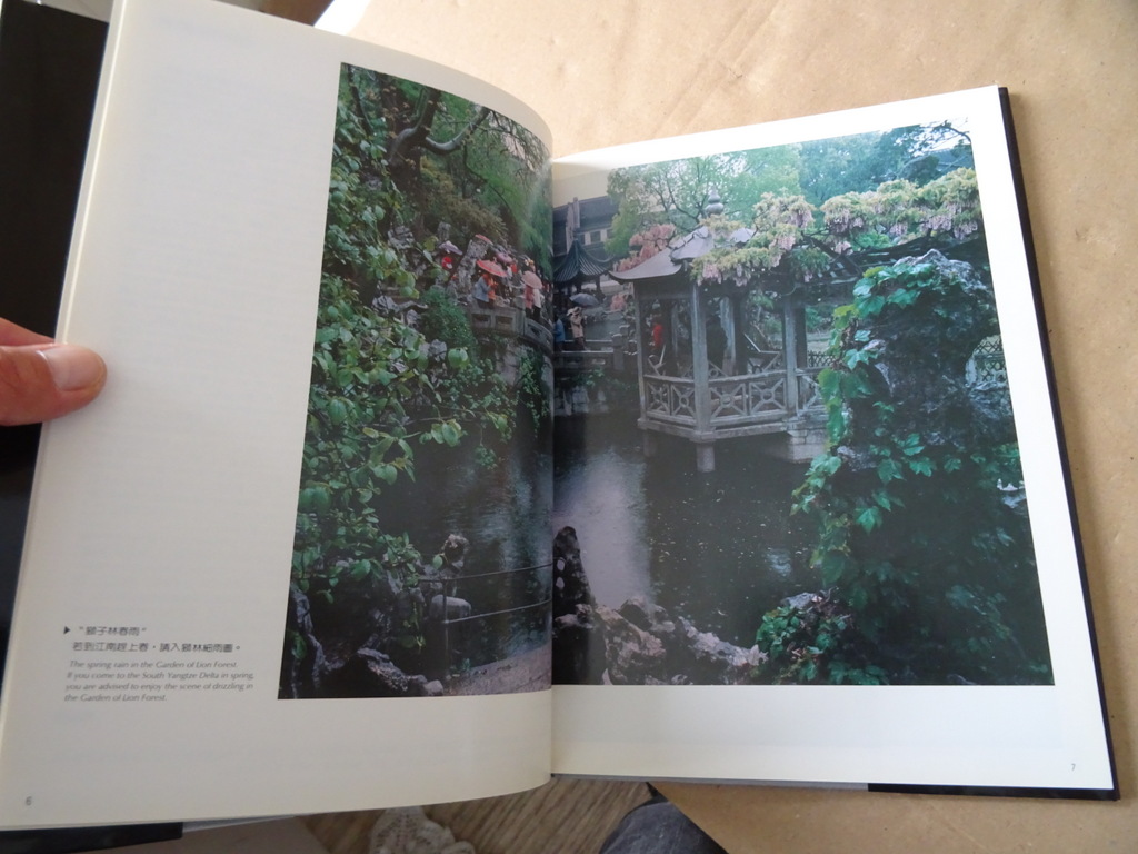 Liu Shao-jun Suzhou Gardens - Afbeelding 12