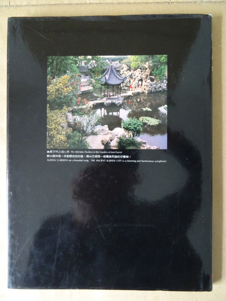 Liu Shao-jun Suzhou Gardens - Afbeelding 19