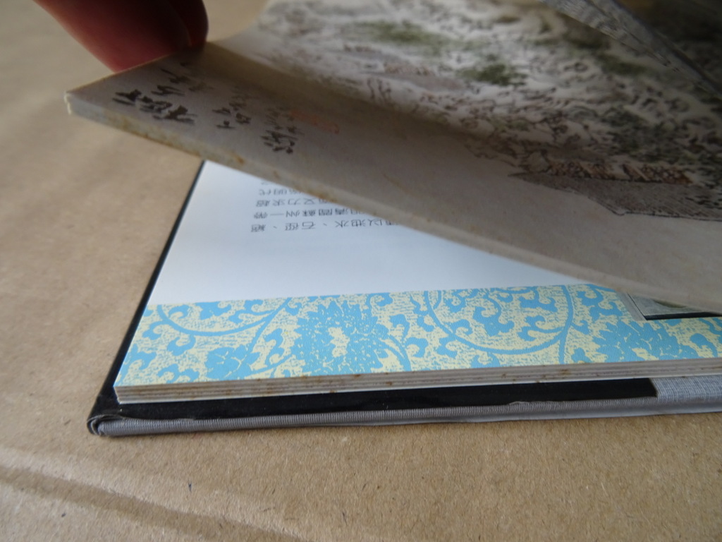 Liu Shao-jun Suzhou Gardens - Afbeelding 28