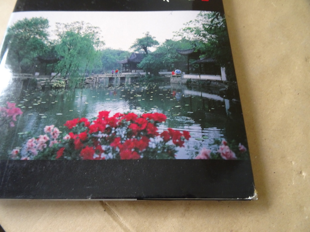 Liu Shao-jun Suzhou Gardens - Afbeelding 31